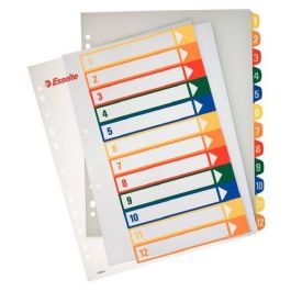 Indice Esselte Pp Numerico Imprimible A4+ Pestañas 1-12 11 Taladros Precio: 10.50000006. SKU: B1HNZYA8QR