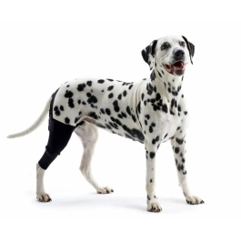 Kruuse Protector De Rodilla Rehab XXS Derecha para Perros - Uso en Artritis, Lesiones y Postoperatorio Precio: 49.95000032. SKU: B1ABLBDWEA