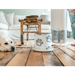 Leitz Filtro de Carbono HEPA Z-2000/Z-2500 para Purificador de Aire - Ideal contra Olores, Alergias, Gripe y Mascotas