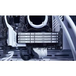 Kingston Technology FURY Beast módulo de memoria 16 GB 1 x 16 GB DDR5 Kingston Technology FURY Beast módulo de memoria 16 GB 1 x 16 GB DDR5