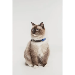 Tickless TIC5999566451614 Repelente Ultrasónico para Gatos, Protección contra Pulgas y Garrapatas, Azul Griego