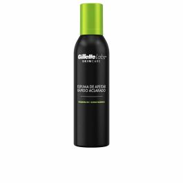 Gillette Skincare Labs Espuma De Afeitar 240 mL Precio: 6.50000021. SKU: B16WRN4NXW