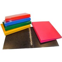 Carpeta De Anillas Saro Carton Forrado Fº 2 An.25Mm 7 Col.Surt. 5 unidades Precio: 14.58999971. SKU: B1BZLJV2BA