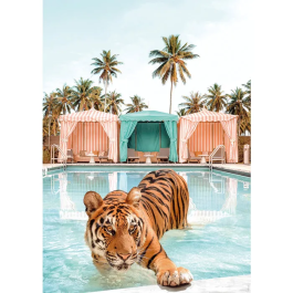 Nathan Rompecabezas de 1500 Piezas Paul Fuentes Design - Royal Bath, Colección Fotografías Artísticas - 12001862