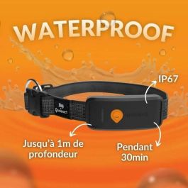 Weenect WEE3770000300796 Collar GPS para perros Dog XT Antena XL Resistente al agua compatible Julius-K9 Negro - Requiere suscripción