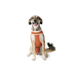 Luna & Milo Body De Cobre Copperbody Classic Talla 4 para Perros y Gatos de 6 a 7.5 kg Precio: 34.9932. SKU: B1DXNYYEK4
