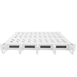 Digitus Bandeja Fija 19" 1U para Armarios de 600mm, con Gestión de Cables, Gris