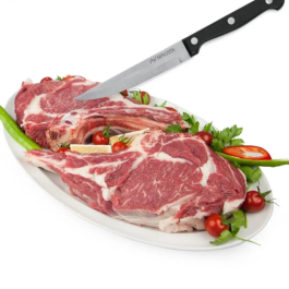 Nirosta Juego de 4 Cuchillos para Carne - 21 cm