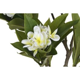 DKD Home Decor Árbol Tropical Artificial Frangipani Tahití PE, Blanco Verde Natural, 150 cm Alto x 80 cm Ancho x 80 cm Largo DKD Home Decor Árbol Tropical Artificial Frangipani Tahití PE, Blanco Verde Natural, 150 cm Alto x 80 cm Ancho x 80 cm Largo