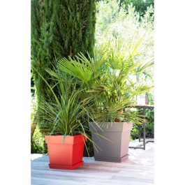 Eda Maceta Cuadrada Toscana 50 cm - 87 L - Taupe para Exterior e Interior, Jardín o Terraza