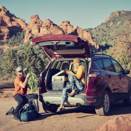 Dometic CFF45 Nevera Portátil Eléctrica con Compresor, 44 Litros, 12V/24V/230V, Negro