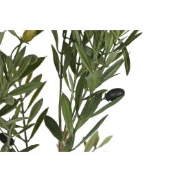 DKD Home Decor Árbol de Olivo Verde para Decoración del Hogar – Material PE, Dimensiones 210 cm Alto x 80 cm Ancho x 80 cm Fondo DKD Home Decor Árbol de Olivo Verde para Decoración del Hogar – Material PE, Dimensiones 210 cm Alto x 80 cm Ancho x 80 cm Fondo