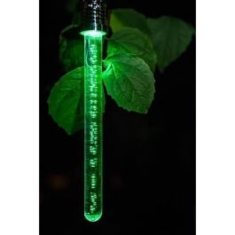 Garden Id 70705428 Linterna Solar de Palo de Cristal 22 cm con Cambio de Color, Batería Recargable y 6-8h Autonomía Garden Id 70705428 Linterna Solar de Palo de Cristal 22 cm con Cambio de Color, Batería Recargable y 6-8h Autonomía