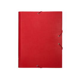 Liderpapel Carpeta Clasificadora Folio Prolongado Cartón Forrado 12 Departamentos Color Rojo