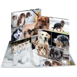 HERMA 19211 Carpeta de Cartón A4 con 3 Solapas, Diseño Perros, Multicolor, 1 pieza Precio: 14.49999991. SKU: B1B925F4DA