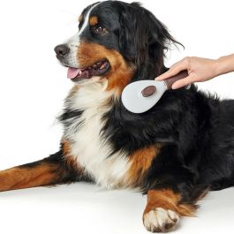 Hunter Cepillo Autolimpiable Talla S con Botón Integrado para Retirar Pelo Muerto, Empuñadura Ergonómica Marrón para Perros. Hunter Cepillo Autolimpiable Talla S con Botón Integrado para Retirar Pelo Muerto, Empuñadura Ergonómica Marrón para Perros.