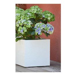 EDA PLASTIQUE Macetero Cuadrado Graphit Up Decoración Ondulada 21L 29.5x29.5x29.5cm Blanco Encalado Anti UV Exterior/Interior EDA PLASTIQUE Macetero Cuadrado Graphit Up Decoración Ondulada 21L 29.5x29.5x29.5cm Blanco Encalado Anti UV Exterior/Interior