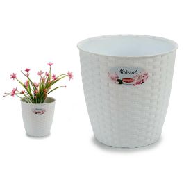 Maceta Natural Inter Exter 19Diam Blanco Stefanplast 19X17CM (12 Unidades) Precio: 29.58999945. SKU: B15DR2559Q