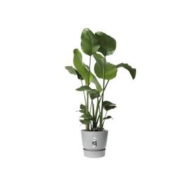 Maceta redonda ELHO Greenville 47 - Exterior - Ø 47 x H 44,1 cm - Hormigón vivo gris Maceta redonda ELHO Greenville 47 - Exterior - Ø 47 x H 44,1 cm - Hormigón vivo gris