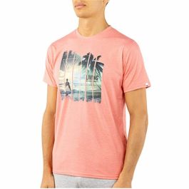 Camiseta de Manga Corta Hombre Alphaventure Alphadventure Kusura Precio: 21.7679. SKU: B1BRGNHH6V