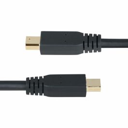 Cable DisplayPort Mini a DisplayPort Startech DP14MDPMM10F Negro 3 m Cable DisplayPort Mini a DisplayPort Startech DP14MDPMM10F Negro 3 m