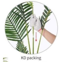 Planta Tropical DKD Home Decor Verde 100 x 220 x 100 cm (2 Unidades) Planta Tropical DKD Home Decor Verde 100 x 220 x 100 cm (2 Unidades)
