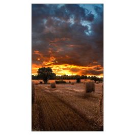 Samsung Smart Signage VM46B-U Pantalla LCD de 116.80cm(46") Full HD 1920 x 1080