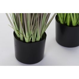 DKD Home Decor Planta Rosa Palo Lila 40 x 150 x 40 cm (2 Unidades)