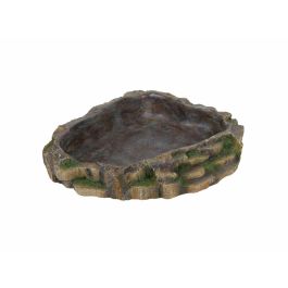 Comedero Trixie 24 × 5,5 × 20 CM Reptiles Precio: 22.49999961. SKU: B1F4ZXB54S
