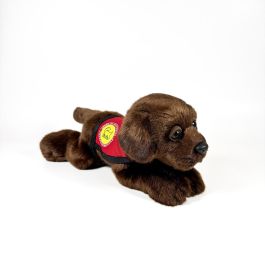 Peluche Labrador Chocolate 21Cm Con Chaleco 939D00248 Bocala