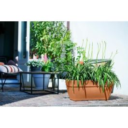 Jardinera Elho Vibia Campana Terrasse 80 - Marrón - L 77 x B 35 x H 33 cm - exterior - 100% reciclado Jardinera Elho Vibia Campana Terrasse 80 - Marrón - L 77 x B 35 x H 33 cm - exterior - 100% reciclado