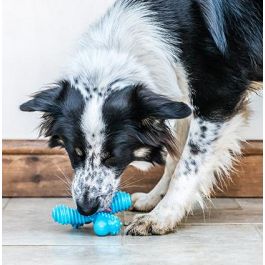 Nylabone Dura Chew X Bone Mordedor Perro Extremadamente Duradero para Masticadores Exigentes Sabor Ternera Nylon Talla L Limpieza Dental Precio: 16.89000038. SKU: S6101448