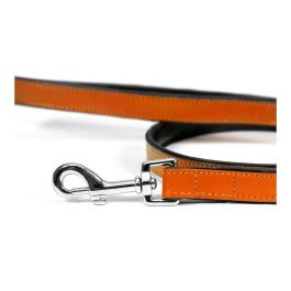 Gloria Correa Piel Auténtica Acolchada para Perro 100 cm x 18 mm, Suave, Mosquetón Robusto Retráctil, 3 Capas, Cosido Reforzado Gloria Correa Piel Auténtica Acolchada para Perro 100 cm x 18 mm, Suave, Mosquetón Robusto Retráctil, 3 Capas, Cosido Reforzado