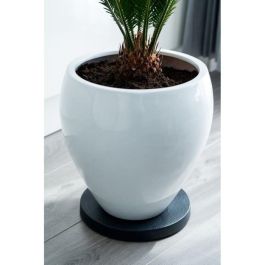 Nature Mesa enrollable para plantas de Polipropileno, base redonda con ruedas para macetas, Ø29.2 cm de diámetro, 4 cm de altura