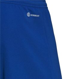 Pantalón de Entrenamiento de Fútbol para Adultos Adidas Ent22 Azul XL