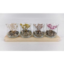 DKD Home Decor Decoración Boho con Flor Seca, Madera y Cristal, Natural Multicolor, 8.5 x 10 x 29 cm (2 Unidades) Precio: 16.0809. SKU: B18LKBK2N5