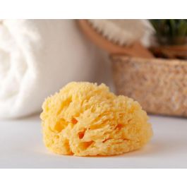 KioKids Esponja Natural para Bebé Mediterránea Superior Suave Absorbente +0 Meses Color Natural Precio: 8.49999953. SKU: B1CH6KZ5BR