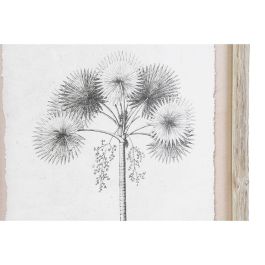 Cuadro Colonial DKD Home Decor Gris Beige 1.8 x 45 x 35 cm (9 Unidades)