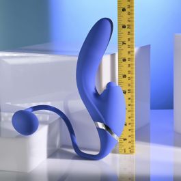 Vibrador Anal Negro Evolved