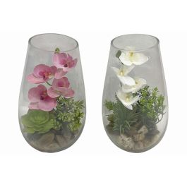 Planta Shabby DKD Home Decor Rosa Blanco 15 x 25 x 15 cm (2 Unidades) Precio: 32.79000054. SKU: B1DNJX522E