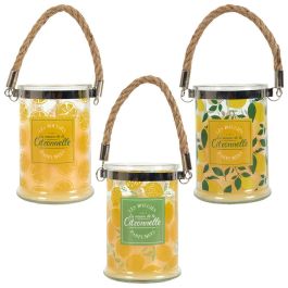 Home Deco Factory Vela Citronela con Asa de Cuerda, Recipiente Vidrio 220g