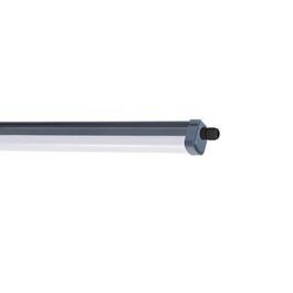 Tubo LED Philips Tubo LED Philips