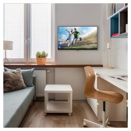 Panasonic TS-24N30AEZ Televisor HD de 24 Pulgadas Negro