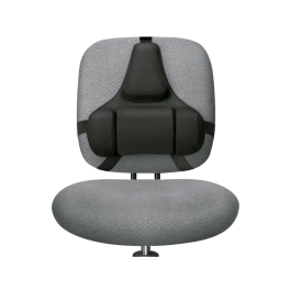 Fellowes Respaldo Ergonómico Profesional con Memory Foam de 3 Secciones, Adaptable a la Curvatura de la Espalda, Color Negro