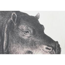 DKD Home Decor Cuadro Moderno Hipopótamo Lienzo Set de 3 piezas Negro Gris 180x120x4 cm