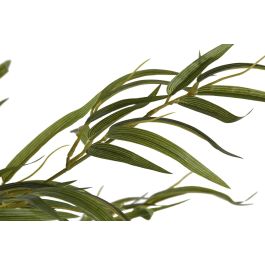 DKD Home Decor Planta Oriental de Bambú Verde Natural 210x50x50 cm (2 Unidades)