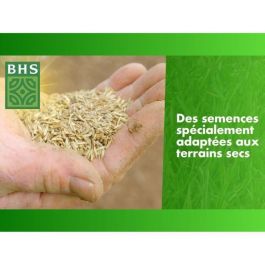 Reposición de suelo seco para césped - BHS - 3 kg | 150 m² | Fuerte y duradero, con excelente durabilidad y tolerancia al pisoteo. Reposición de suelo seco para césped - BHS - 3 kg | 150 m² | Fuerte y duradero, con excelente durabilidad y tolerancia al pisoteo.