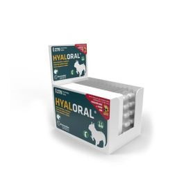 Hyaloral Razas Pequeñas y Medianas 270 Comp, Suplemento Nutricional para Perros con Ácido Hialurónico y Colágeno Precio: 103.4999999. SKU: B16DAXJK8Q