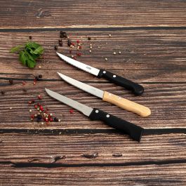 Cuchillo Chuletero Acero Inox Campagnard Remache Pradel 21,5 cm (12 Unidades) Cuchillo Chuletero Acero Inox Campagnard Remache Pradel 21,5 cm (12 Unidades)