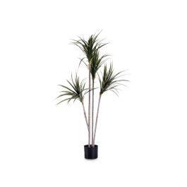 Ibergarden Planta con Maceta Hoja Estrecha Pequeña 140 cm (Al) x 80 cm (An) x 85 cm (La)